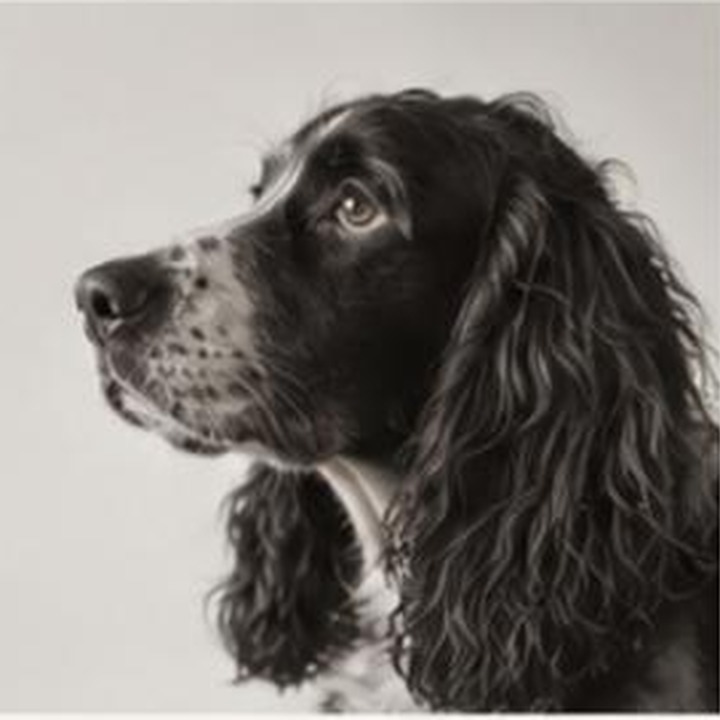Portrait of Olmo