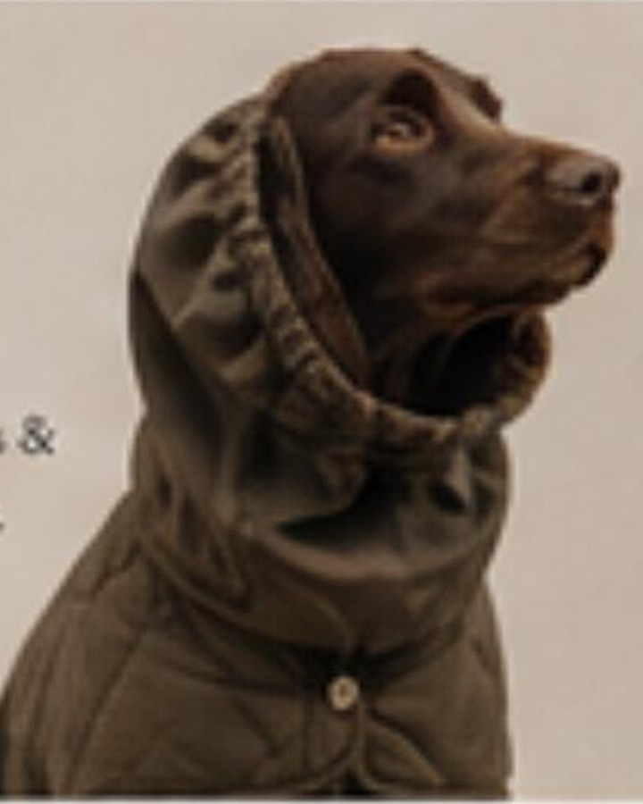Merino Snood